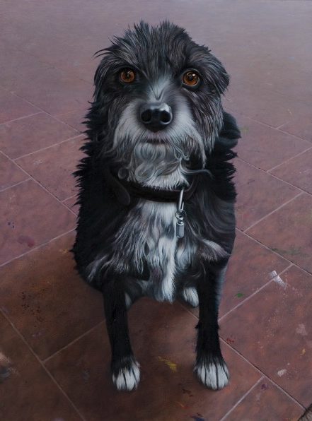 'Studio Dog' 2009, oil on canvas, 78 x 58 cm