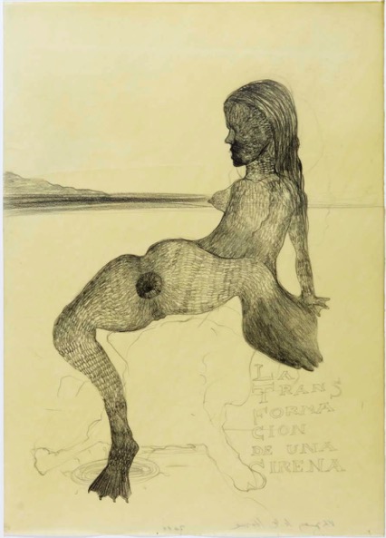 VASQUEZ DE LA HORRA SANDRA 'La Transformacion de una Sirena' 2011, Wax and pencil on paper, 70 x 50 cm (sold)