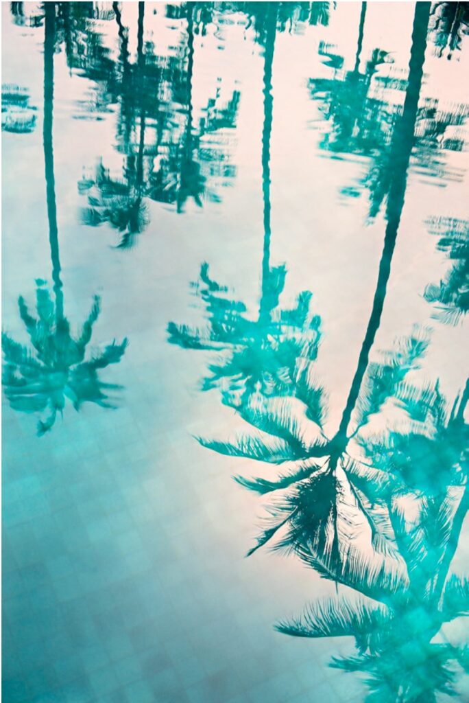 Philipp Keel 'Palms in a Pool', 2017 Imbue print on barite paper 117.3 x 82.4 cm Edition of 8 plus 2 artist's proof