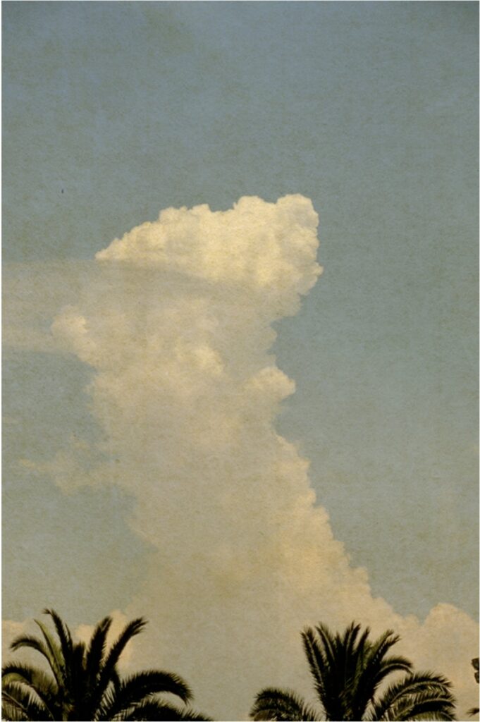 Albarrán Cabrera The Mouth of Krishna #269, 1999, Pigments on Japanese paper and gold leaf 24.5 x 16.5 cm Edition of 20