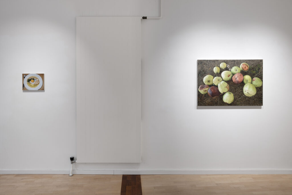 Ausstellungsansichten: Florian Bühler «Komfortzone»  2. – 15. April 2026. Foto: Gina Folly