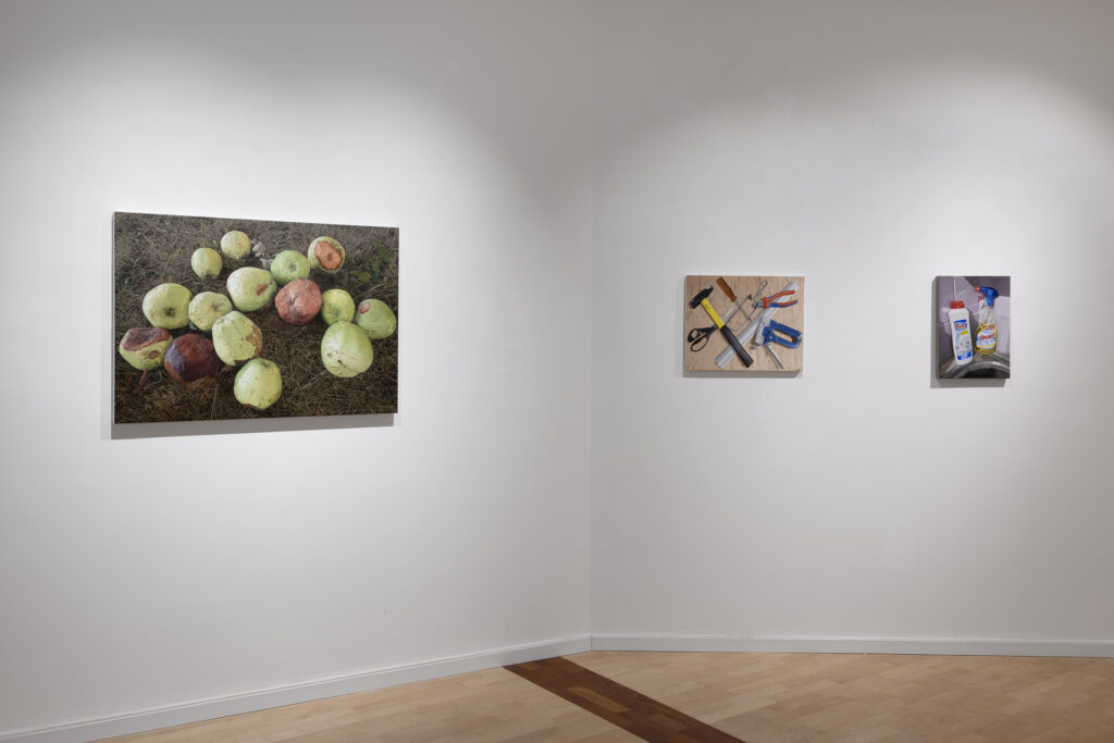 Ausstellungsansichten: Florian Bühler «Komfortzone»  2. – 15. April 2026. Foto: Gina Folly