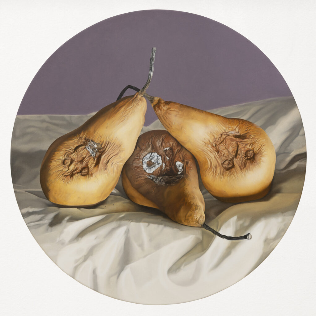 BÜHLER FLORIAN '3 Birnen' 2026 Oil on canvas Durchmesser 50  cm  (19 5/8  in.)