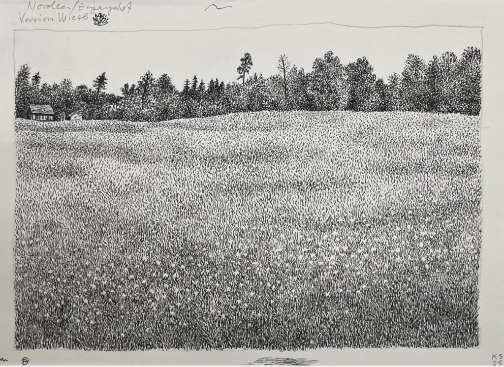 KAROLINE SCHREIBER 'Wiese' (Eingangshof) 2025 Fineliner, Bleistift auf Papier Blattmasse 21.5 x 29.7 cm  (8 1/2 x 11 3/4 in.)