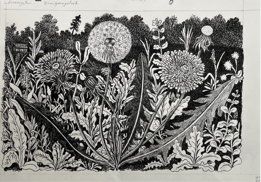 KAROLINE SCHREIBER 'Löwenzahn' (Eingangshof) 2025 Fineliner, Bleistift auf Papier 21.5 x 29.7 cm  (8 1/2 x 11 3/4 in.)