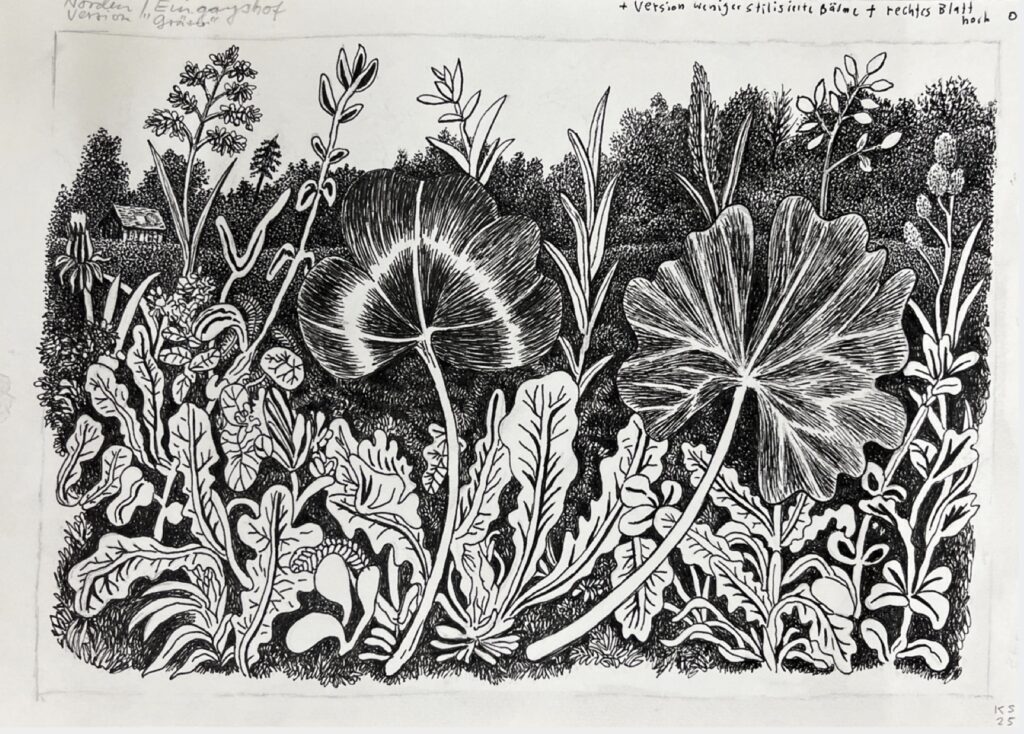 KAROLINE SCHREIBER 'Gräser' (Eingangshof) 2024/2025 Fineliner, Bleistift auf Papier 21.5 x 29.7 cm  (8 1/2 x 11 3/4 in.)