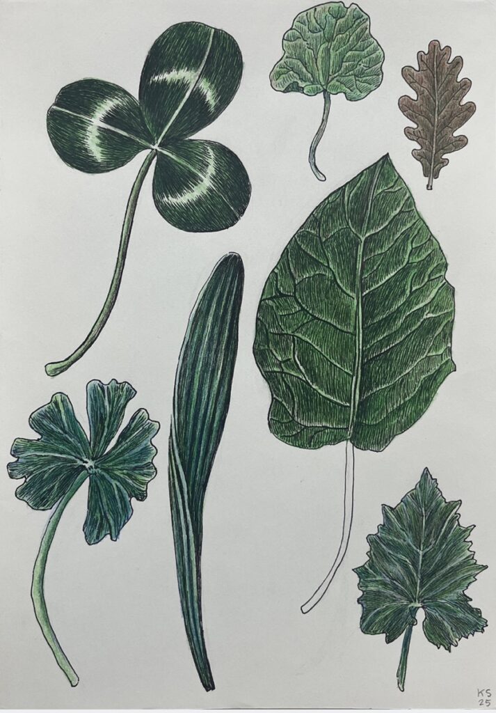 KAROLINE SCHREIBER 'Diverse Blätter' 2024/2025 Fineliner, Bleistift, Farbstift auf Papier 29.7 x 21.5 cm  (11 3/4 x 8 1/2 in.)