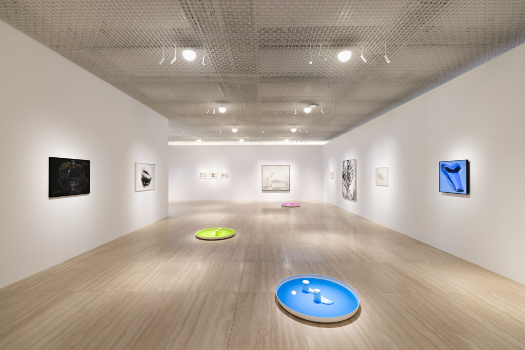 photo credit: Bettina Brotbek